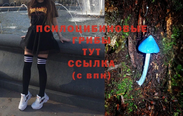 не бодяженный Алексин